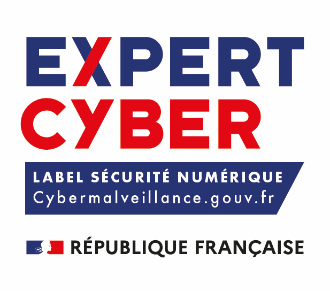 expert cyber