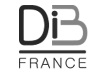logo DIB